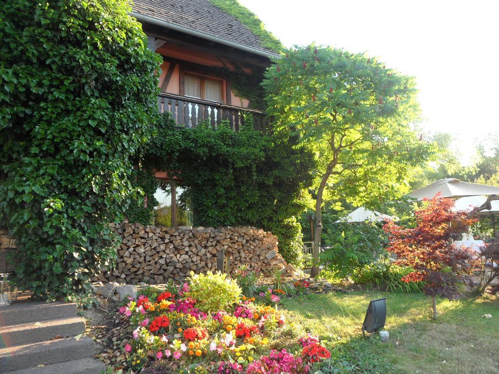 Hotel Restaurant Verger Des Chateaux, Route Des Vins Haut-Koenigsbourg Dieffenthal Exterior photo